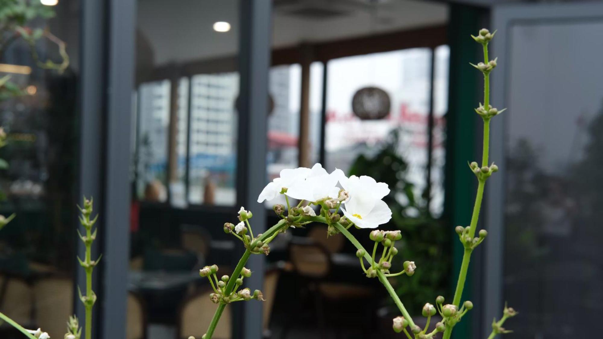 The Bloom Classic - Hotel And Bistro Ханой Екстер'єр фото