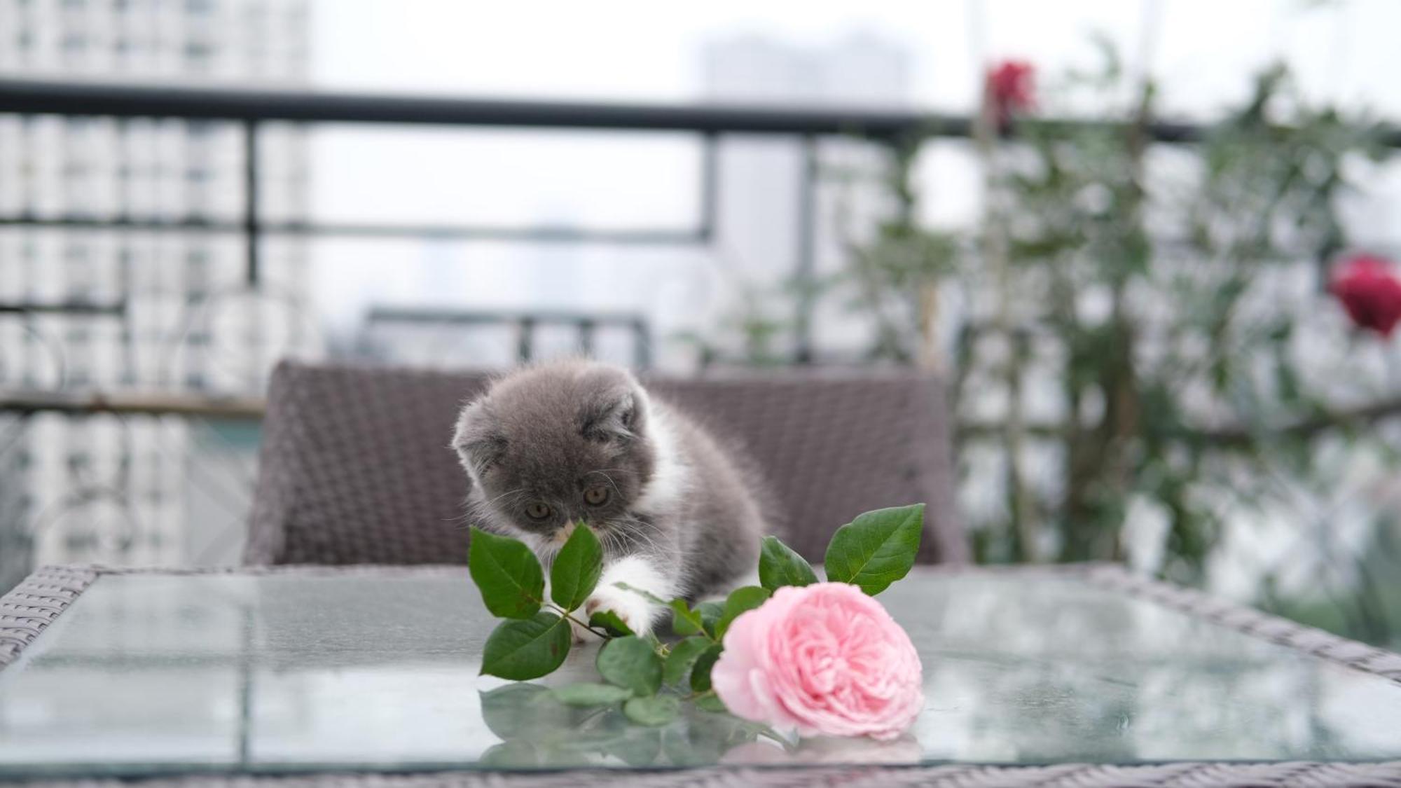 The Bloom Classic - Hotel And Bistro Ханой Екстер'єр фото